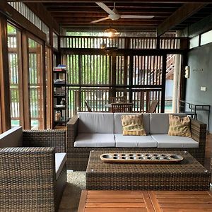 The Shorea